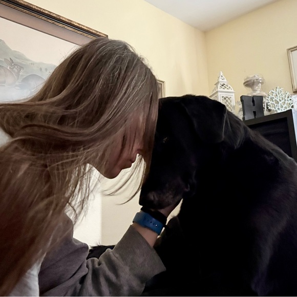 Meet your Posher, Harrison - Picture 2 of 16